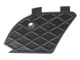 Grila proiector ceata stanga Mercedes-Benz E-Class W210 1999-2003, Autowag