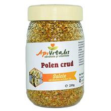 Polen Crud de Salcie 250gr Api Vitalis Cod: 24281 foto