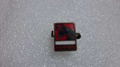 insigna Hipism Arad foto