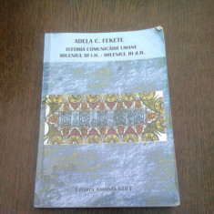 ISTORIA COMUNICARII UMANE. MILENIUL III I.H - MILENIUL III D.H - ADELA C.FEKETE (CURS UNIVERSITAR)