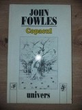 Copacul- John Fowles