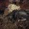The Witcher Omnibus Volume 2