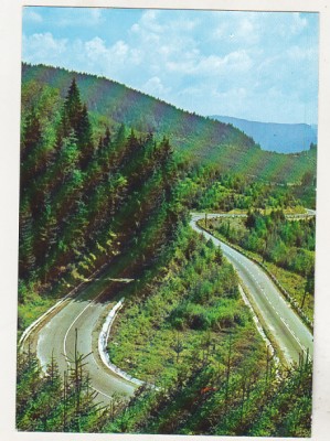 bnk cp Soseaua spre Borsec - Vedere - necirculata foto