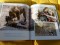 Foto  - 13
