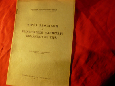 Studiu Viticultura 1937 -G.Constantinescu-Ismail --Tipul florilor ,16pag Ed.Buco foto