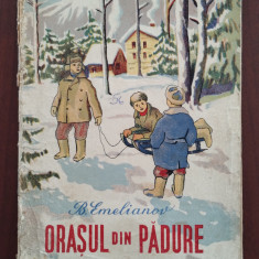 Orașul din pădure - B. Emelianov - ilustrații A. Teitlin - ediția a II-a - 1951