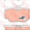 Set placute frana,frana disc LAND ROVER DISCOVERY II (LJ, LT) (1998 - 2004) TRW GDB1155