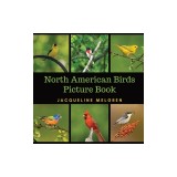 North American Birds Picture Book: Dementia Activities for Seniors (30 Premium Pictures on 70lb Paper With Names)
