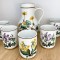 Set - Carafa + pahare - Villeroy and Boch - Botanica - 5 persoane
