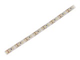 Bandă LED alb rece 120 LED/m IP65 12V