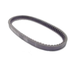 Curea transmisie 16.9x779 - Daelim - Suzuki AY 50 (97-99) - Katana Ditech (05-06) - Katana (97-04) 2T 50cc