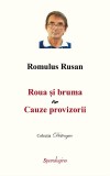 Roua si bruma. Cauze provizorii - Romulus Rusan - Spandugino