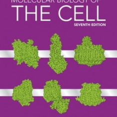 Molecular Biology of the Cell