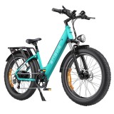 EBike ENGWE E26-ST 250W 26&#039;&#039;, baterie 48V 16AH, frana hidraulica cu disc, 140km, 7