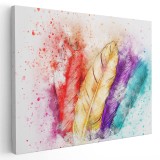 Tablou canvas pene pictura acuarela multicolor 1183 Tablou canvas pe panza CU RAMA 30x40 cm
