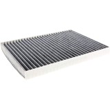 Filtru polen carbon, habitaclu Aster AS2329