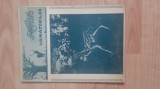 REVISTA VANATORILOR , ANUL 1942 , LUNA IUNIE .