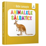 Bebe cunoaste: Animalele salbatice