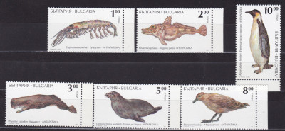 BULGARIA 1995 FAUNA MARINA SERIE MNH foto