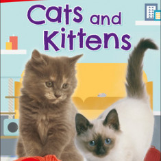 DK Super Readers Level 2: Cats and Kittens