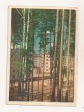 FA115 -Carte Postala- RUSIA - Perm. Zakamsk, necirculata 1965