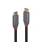 Cablu Lindy USB C-USB C Anthra 2m negru