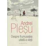 Despre frumusetea uitata a vietii - Andrei Plesu