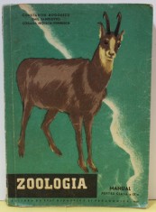 ZOOLOGIA , MANUAL PENTRU CLASA A IX -A de CONSTANTIN BOGOESCU ...CORALIA NITESCU - VERNESCU , 1957 foto