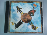CD Spin Doctors &ndash; Turn It Upside Down., Rock, Epic rec