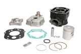 Cumpara ieftin Cilindru (70 cm&sup3;, 2T, cu capul) PRO SERIES; SENDA pentru DERBI GP1, GPR, SENDA 50 2006-2019