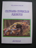 Cultivarea ciupercilor PLEUROTUS - Pelaghia Chilom