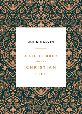 A Little Book on the Christian Life foto
