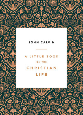 A Little Book on the Christian Life foto