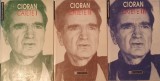 Emil Cioran - Caiete, 3 Vol, Ed. Humanitas 1999, Memorii Jurnale, Filosofie, ISBN 973-28-0011-1