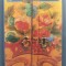 Mobila pictata, mobilier pictat . Album format mare, full color