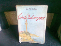 SCHITE DOBROGENE - AL. NEGREA foto