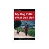 My Dog Pulls. What Do I Do?