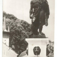 @carte postala-BAILE HERCULANE-Statuia lui Hercule