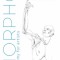 Morpho: Skeleton and Bone Reference Points: Anatomy for Artists