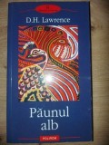Paunul alb- D. H. Lawrence