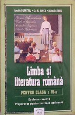 LIMBA SI LITERATURA ROMANA PENTRU CLASA A VI-A. EVALUARE CURENTA. PREPARATOR PENTRU TESTAREA NATIONALA-AMAL-239782 foto