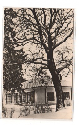CPIB 20523 CARTE POSTALA - MUZEUL MEMORIAL V. ALECSANDRI DIN MIRCESTI, RPR foto
