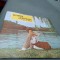 DISC VINIL IOANA CRISTEA EPE 01395 RAR!!!STARE FB/EX