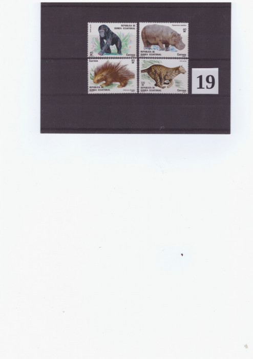 19-GUINEEA ECUATORIALA-Animale din Africa-Serie de 4 timbre nestampilate MNH
