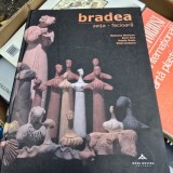 Zeita Fecioara - Grigore Bradea