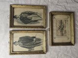 Set imagini vintage, 2 schițe și o gravură marină, rame aurite