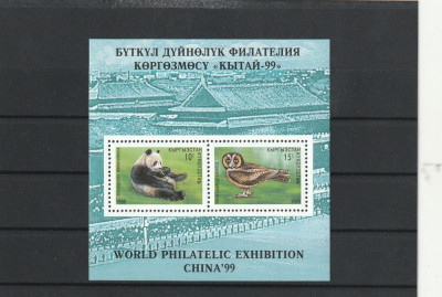 Fauna ,panda ,Expo China ,Kirghistan. foto