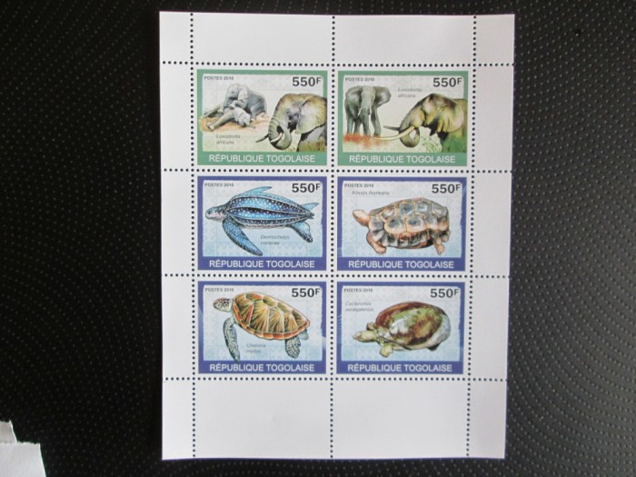 TOOLAISE =MNH=65