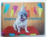 PARTY ANIMAL , ALBUM DE FOTOGRAFIE CU TEXT , 2017