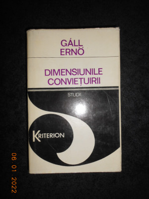 Gall Erno - Dimensiunile conviețuirii. Studii despre națiune și naționalitate foto